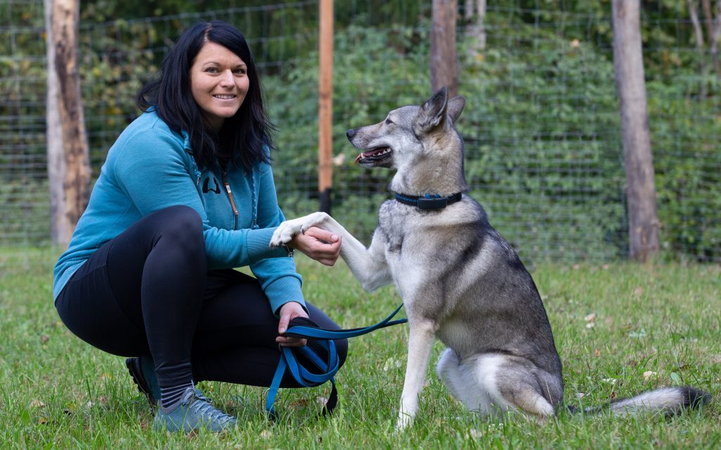 Hund Pfote geben