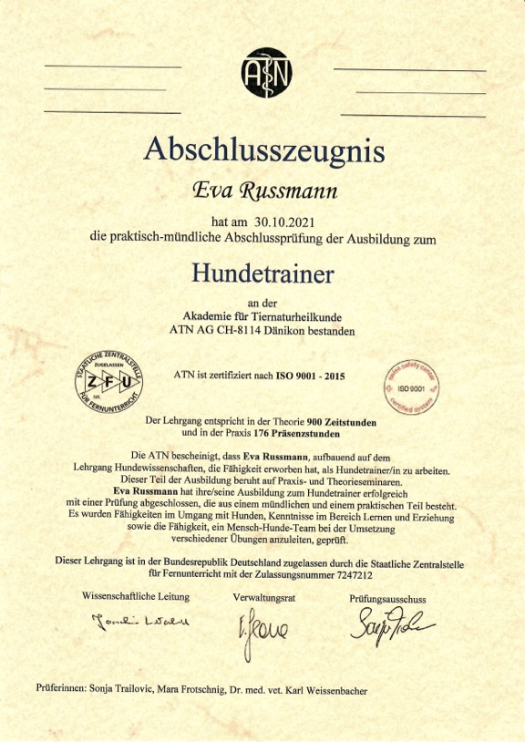 Abschlusszeugnis ATN